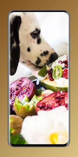 farmer dog food Screen 3