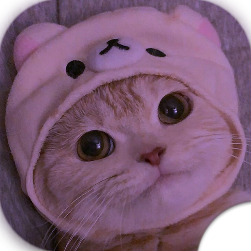Cute Cats PFP: The Ultimate Collection of Aesthetic and Funny Pictures in  2023