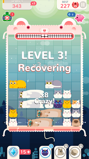 Block Puzzle Cats - Apps on Google Play