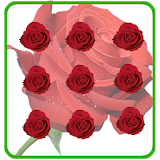 Pattern Lock Theme Red Rose icon