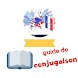 Guide de conjugaison française - Androidアプリ