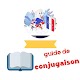 Guide de conjugaison française