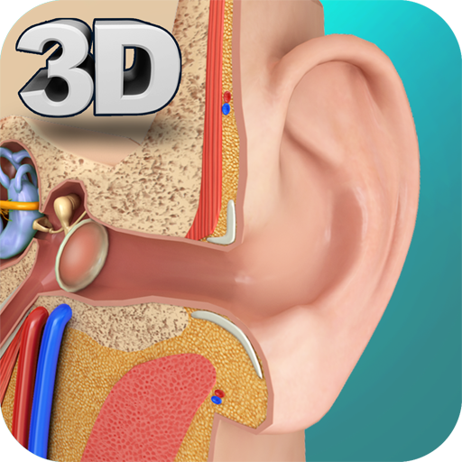 Ear Anatomy Pro.  Icon