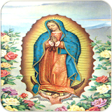 Virgin Of Guadalupe December 12 icon