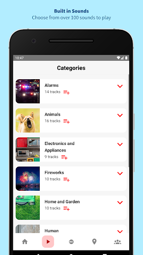 Sound School For Dogs