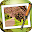 Moku Hanga Download on Windows