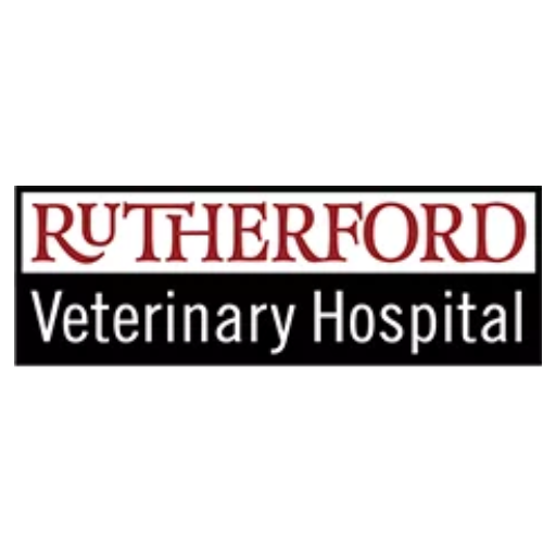 Rutherford Veterinary Hospital 300000.3.38 Icon