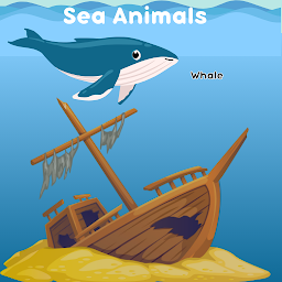 Sea animals Names Puz