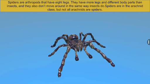 Diversity in Living:Arthropoda Screen 3