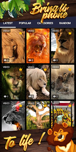 lion background Screenshot 2 - AppWisp.com