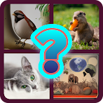 AnimalTriviaMundo - Preguntas