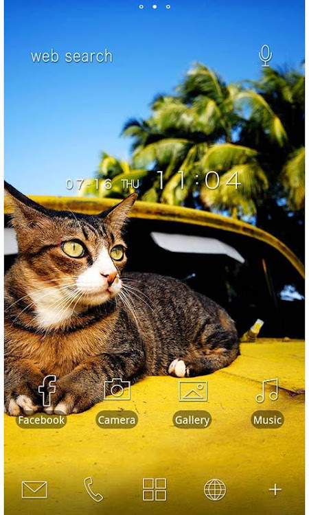 Cute Theme-Cat on a Car- - 1.0.11 - (Android)