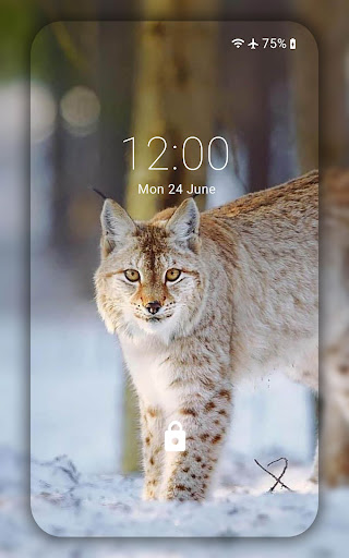 Lynx wallpaper