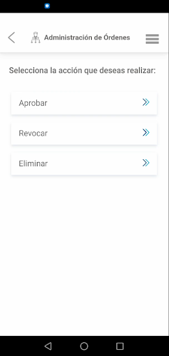 BGR Empresas Screen 3