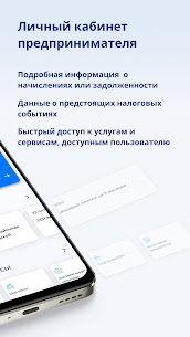 Личный кабинет предпринимателя 2