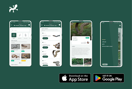 Android application Herpi - Reptiles in Georgia screenshort
