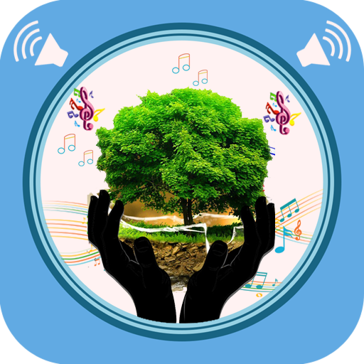 Nature Sounds Download on Windows