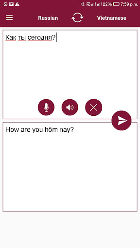 Vietnamese-Russian Translator Screen 2