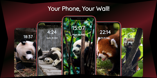 Panda Wallpapers | Cool Panda