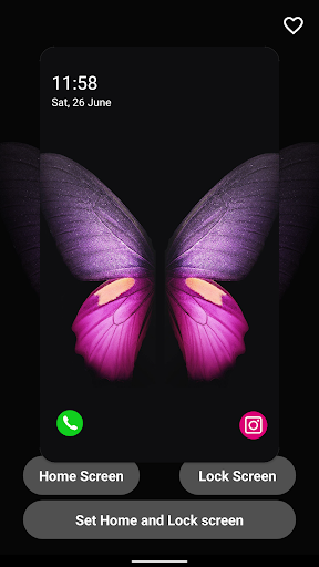 Butterfly Wallpaper In 4K Screen 2