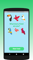 screenshot of What kind of bird are you? Tes