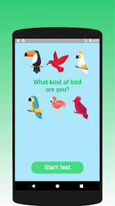 What kind of bird are you? Tes 1.2 APK + Mod (Free purchase) for Android