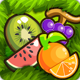 Fruit Splash Mania icon