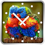 Parrots Clock Widget icon