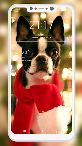 Captura de Pantalla 7 Boston Terrier Wallpaper android
