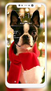 Captura 7 Boston Terrier Wallpaper android