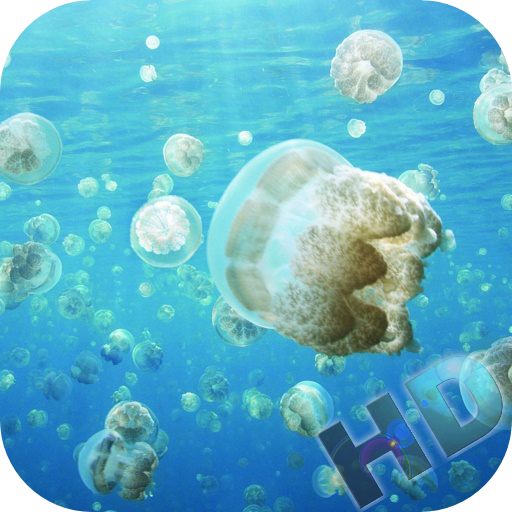 Jellyfish Video Live Wallpaper Download on Windows
