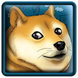 Such Flappy Doge icon