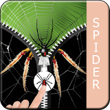 Spider Lock icon