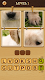 screenshot of 4 Pics Puzzle: Guess 1 Word