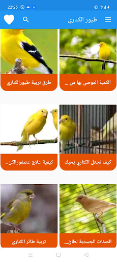 طيور الكناري Screen 3