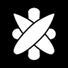 Boardriders icon