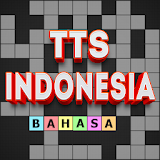 TTS Indonesia icon
