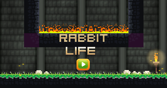 rabbit Life: World
