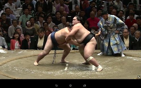 Grand Sumo Screenshot