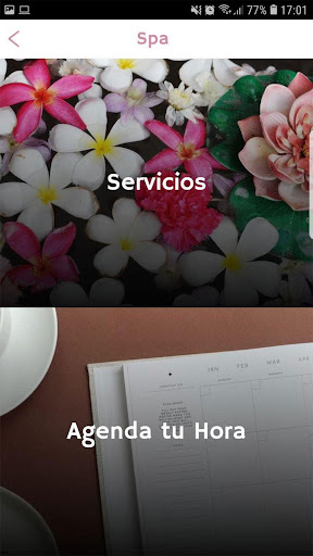 Punto y Encanto Screen 3