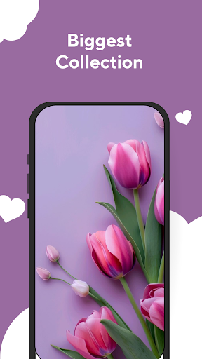 Screenshot of Flower Wallpapers Rose 4K - HD