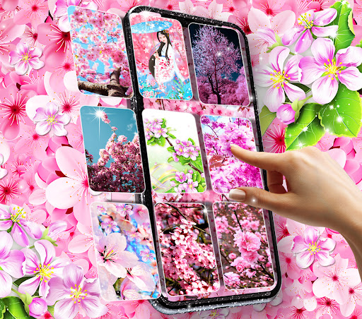 Android application Sakura flowers live wallpaper screenshort