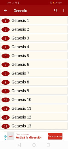 Bible KJV And Dictionary Screen 2