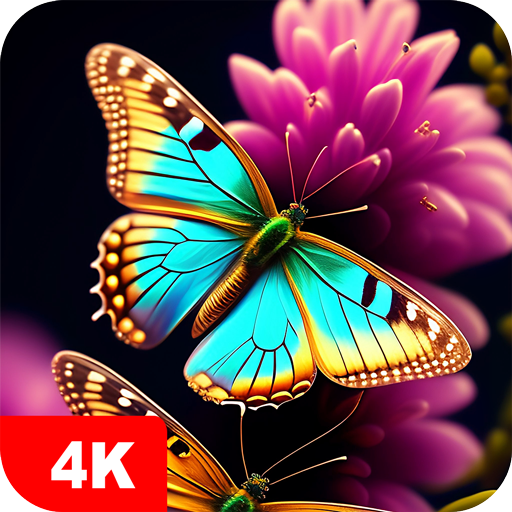 Butterfly Wallpapers 4K logo