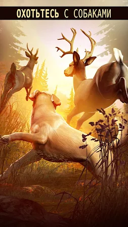 Game screenshot Deer Hunter 2018 apk download