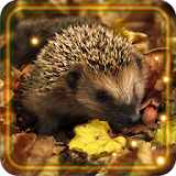 Hedgehogs live wallpaper icon