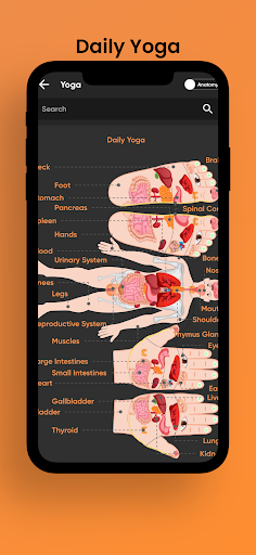 Fitfaat - Health & Fitness Screen 3