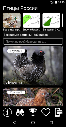 Предварительный просмотр приложения