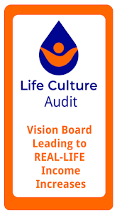 Life Culture Audit