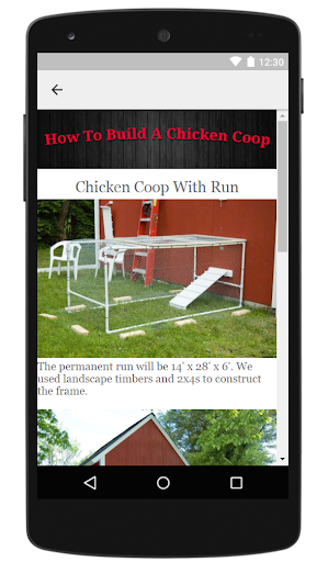How To Build A Chicken Coop